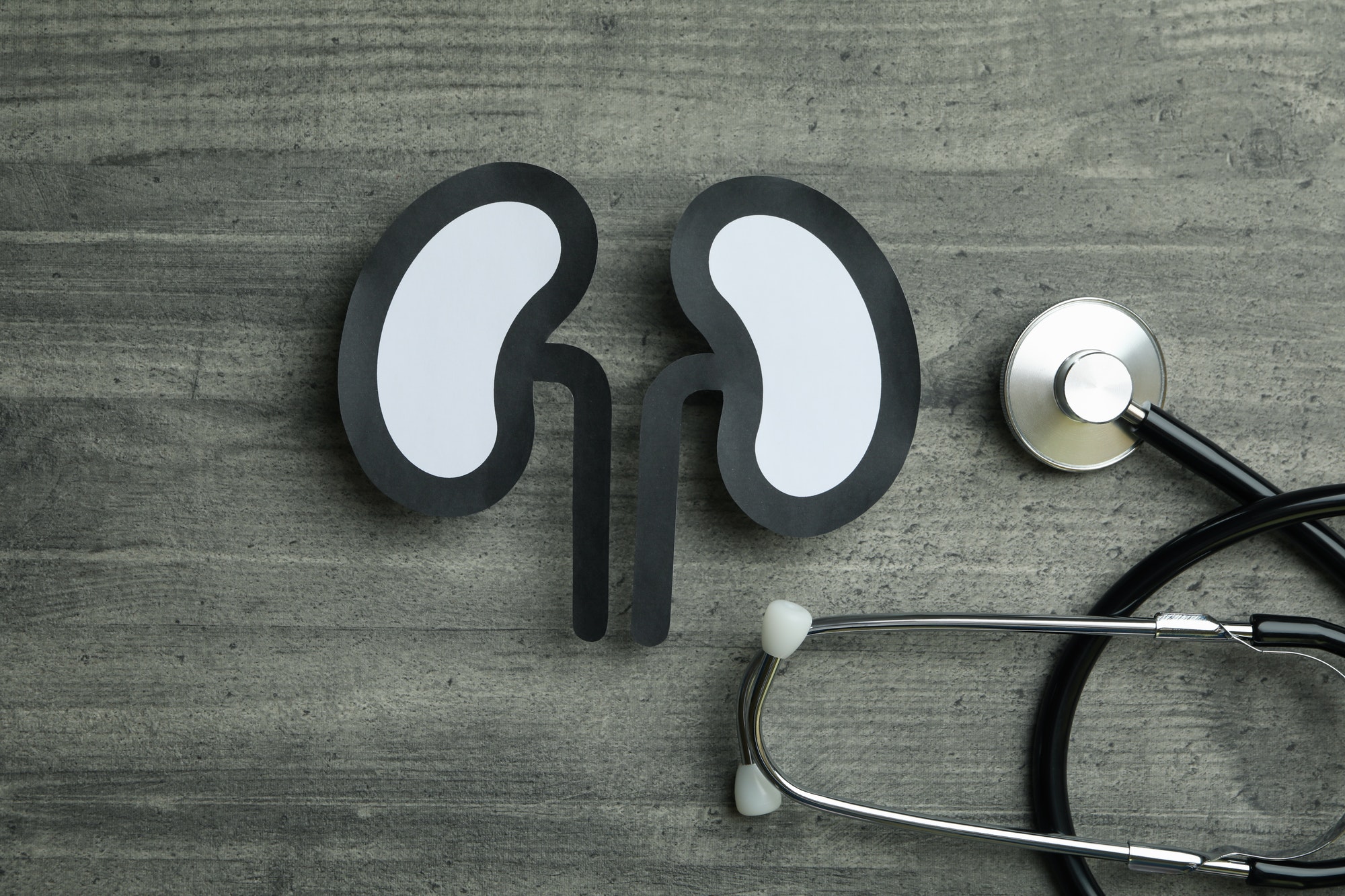 Stethoscope and decorative kidneys on gray textured background